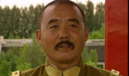 大帅传奇电视剧,烽火岁月里的英雄传奇