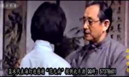 电视剧海灯传奇,剑指江湖，探寻神秘佛光